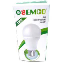 LED BALL BULB 12W B22