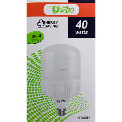 LED BULB 40W B22