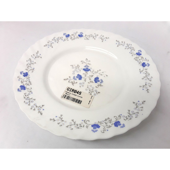 ROMANIA DINNER PLATES (250) image