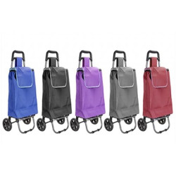 SHOPPING TROLLY WITH 2 WHEELS HEAVY TYPE 