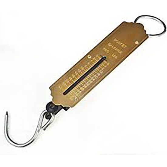 BRASS SCALE 100KG -Carded products image