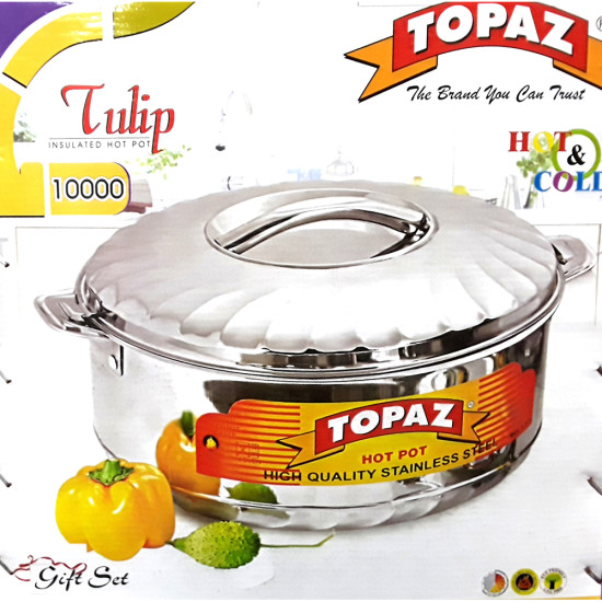 TOPAZ DESIGNER SS HOTPOT 10000 image