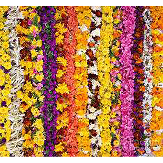 FLOWER LINE 6FT NO 2 image