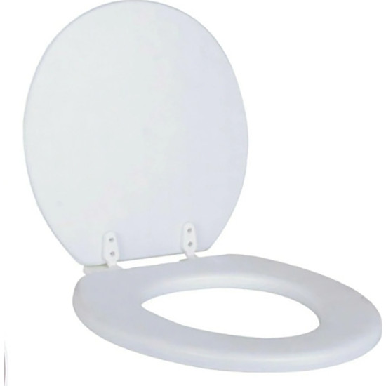 TOILET SEAT -Assorted houseware image